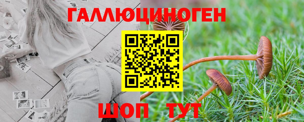 Галлюциногенные грибы прущие грибы  Вход с VPN  Ивантеевка 